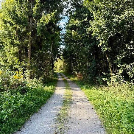 Mc Self Check-in Loftartiges Und Grosses Mitten Im Gruenen Mit Balkon Dg06, In Dobl Bei Graz 公寓 Dietersdorf